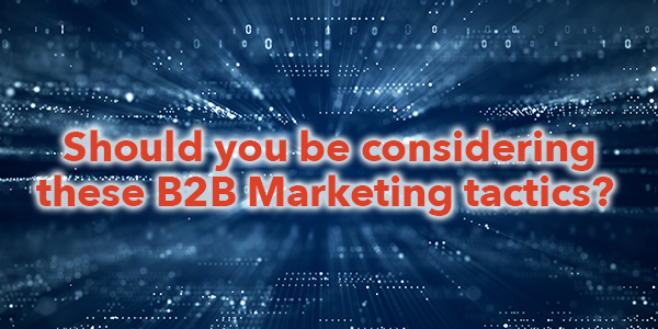 B2B marketing tactics